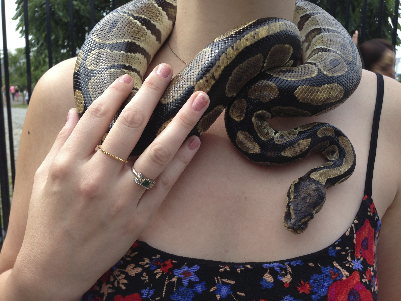 Snake around the neck of a young woman