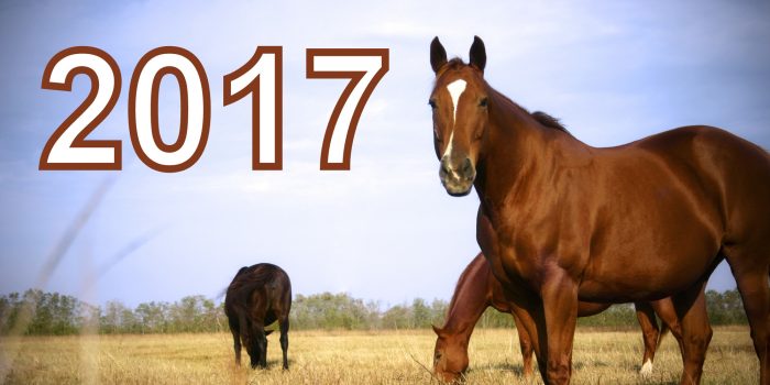 2017. gada horoskops Zirga gadā dzimušajiem: mīlestība, karjera, veselība!